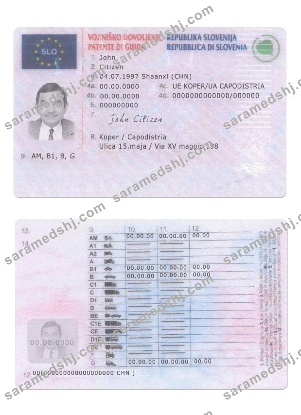 Slovenia driving license
